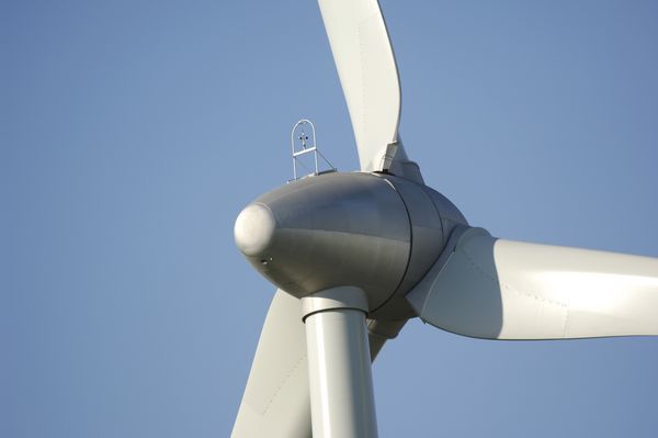 wind turbine blade root