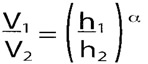 lwind variation law depending on height