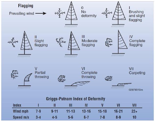 wind scales