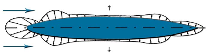 cx carene dirigeable