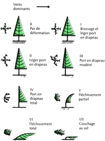 echelles vents eolienne