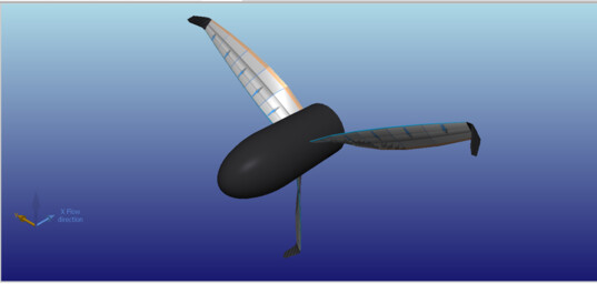 meme bout de pale avec winglet